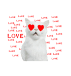 slave cat v.1（個別スタンプ：3）