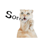 slave cat v.1（個別スタンプ：5）