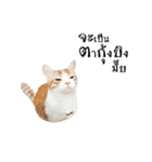 slave cat v.1（個別スタンプ：15）