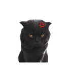 slave cat v.1（個別スタンプ：16）