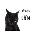 slave cat v.1（個別スタンプ：17）