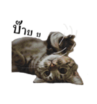 slave cat v.1（個別スタンプ：19）