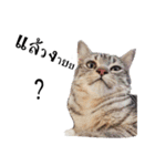 slave cat v.1（個別スタンプ：32）