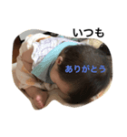 上田家のぱぱスタンプ（個別スタンプ：8）