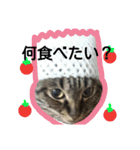 末っ子マンちゃん(南部弁MIX)（個別スタンプ：8）