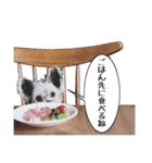 はりはぴ家 ②（個別スタンプ：12）