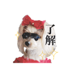 はりはぴ家 ②（個別スタンプ：16）