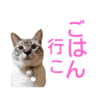 あにきとかしらのスタンプ（個別スタンプ：26）