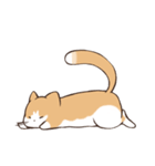 うちのねこ、たわし。（個別スタンプ：1）