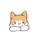 うちのねこ、たわし。（個別スタンプ：4）