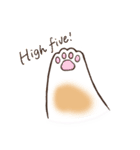 うちのねこ、たわし。（個別スタンプ：6）