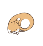 うちのねこ、たわし。（個別スタンプ：8）