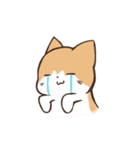 うちのねこ、たわし。（個別スタンプ：9）