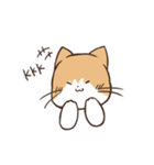 うちのねこ、たわし。（個別スタンプ：13）