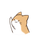 うちのねこ、たわし。（個別スタンプ：16）