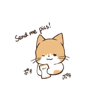 うちのねこ、たわし。（個別スタンプ：23）