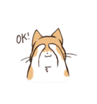 うちのねこ、たわし。（個別スタンプ：25）