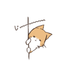 うちのねこ、たわし。（個別スタンプ：27）
