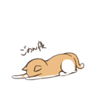 うちのねこ、たわし。（個別スタンプ：33）