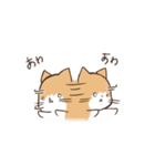 うちのねこ、たわし。（個別スタンプ：37）