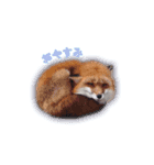 モカくんとその仲間たち（個別スタンプ：15）