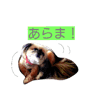 くまたそスタンプ2（個別スタンプ：23）
