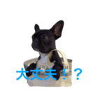 のあのスタンプ（個別スタンプ：6）