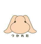 ウサギのとろろ（個別スタンプ：6）