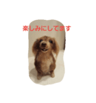 フェルトワンコつぶやく（個別スタンプ：5）