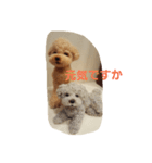 フェルトワンコつぶやく（個別スタンプ：15）