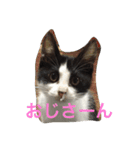 我が家のぽんずくん（個別スタンプ：18）