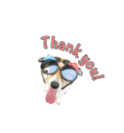 Corgiiiiiii（個別スタンプ：13）