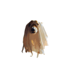 Corgiiiiiii（個別スタンプ：15）