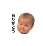 薄毛BABY（個別スタンプ：12）