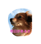 たらちゃん 1（個別スタンプ：4）