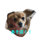 たらちゃん 1（個別スタンプ：6）