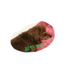 たらちゃん 1（個別スタンプ：8）