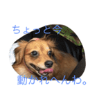 たらちゃん 1（個別スタンプ：11）