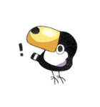 マメオオハシ（個別スタンプ：1）