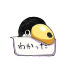 マメオオハシ（個別スタンプ：3）