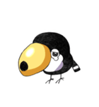 マメオオハシ（個別スタンプ：17）