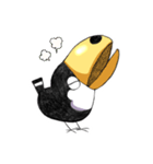 マメオオハシ（個別スタンプ：21）