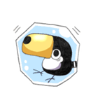 マメオオハシ（個別スタンプ：31）