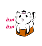 Cute Cat Pogo（個別スタンプ：14）