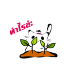 Cute Cat Pogo（個別スタンプ：37）