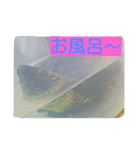 亀のジェニちゃん（個別スタンプ：8）