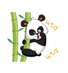 panda sanson 1（個別スタンプ：3）