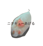 猫スタンピー（個別スタンプ：8）