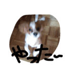 はち8/2（個別スタンプ：3）