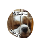 はち8/2（個別スタンプ：6）